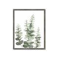 Picture of Eucalyptus Growing II  _GroupedProduct_Rectangle_Portrait_Framed_Matted_