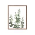 Picture of Eucalyptus Growing II  _GroupedProduct_Rectangle_Portrait_Framed_Matted_