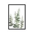 Picture of Eucalyptus Growing II  _GroupedProduct_Rectangle_Portrait_Framed_Matted_