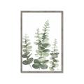 Picture of Eucalyptus Growing II  _GroupedProduct_Rectangle_Portrait_Framed_Matted_