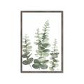 Picture of Eucalyptus Growing II  _GroupedProduct_Rectangle_Portrait_Framed_Matted_