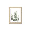 Picture of Eucalyptus Growing II  _GroupedProduct_Rectangle_Portrait_Framed_Matted_