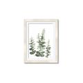 Picture of Eucalyptus Growing II  _GroupedProduct_Rectangle_Portrait_Framed_Matted_