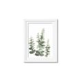 Picture of Eucalyptus Growing II  _GroupedProduct_Rectangle_Portrait_Framed_Matted_