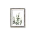 Picture of Eucalyptus Growing II  _GroupedProduct_Rectangle_Portrait_Framed_Matted_