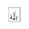 Picture of Eucalyptus Growing II  _GroupedProduct_Rectangle_Portrait_Framed_Matted_