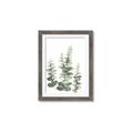 Picture of Eucalyptus Growing II  _GroupedProduct_Rectangle_Portrait_Framed_Matted_