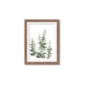 Picture of Eucalyptus Growing II  _GroupedProduct_Rectangle_Portrait_Framed_Matted_