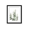 Picture of Eucalyptus Growing II  _GroupedProduct_Rectangle_Portrait_Framed_Matted_