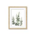 Picture of Eucalyptus Growing II  _GroupedProduct_Rectangle_Portrait_Framed_Matted_