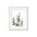 Picture of Eucalyptus Growing II  _GroupedProduct_Rectangle_Portrait_Framed_Matted_