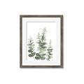 Picture of Eucalyptus Growing II  _GroupedProduct_Rectangle_Portrait_Framed_Matted_