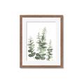 Picture of Eucalyptus Growing II  _GroupedProduct_Rectangle_Portrait_Framed_Matted_