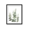 Picture of Eucalyptus Growing II  _GroupedProduct_Rectangle_Portrait_Framed_Matted_