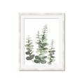 Picture of Eucalyptus Growing II  _GroupedProduct_Rectangle_Portrait_Framed_Matted_