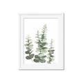 Picture of Eucalyptus Growing II  _GroupedProduct_Rectangle_Portrait_Framed_Matted_