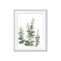 Picture of Eucalyptus Growing II  _GroupedProduct_Rectangle_Portrait_Framed_Matted_