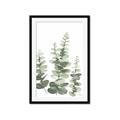 Picture of Eucalyptus Growing II  _GroupedProduct_Rectangle_Portrait_Framed_Matted_