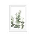 Picture of Eucalyptus Growing II  _GroupedProduct_Rectangle_Portrait_Framed_Matted_