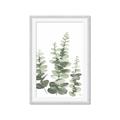 Picture of Eucalyptus Growing II  _GroupedProduct_Rectangle_Portrait_Framed_Matted_