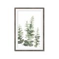 Picture of Eucalyptus Growing II  _GroupedProduct_Rectangle_Portrait_Framed_Matted_