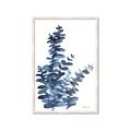 Picture of Navy Blue Eucalyptus I  _GroupedProduct_Rectangle_Portrait_Framed_Matted_