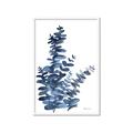 Picture of Navy Blue Eucalyptus I  _GroupedProduct_Rectangle_Portrait_Framed_Matted_