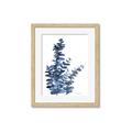 Picture of Navy Blue Eucalyptus I  _GroupedProduct_Rectangle_Portrait_Framed_Matted_
