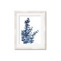 Picture of Navy Blue Eucalyptus I  _GroupedProduct_Rectangle_Portrait_Framed_Matted_