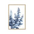 Picture of Navy Blue Eucalyptus II _GroupedProduct_Rectangle_Portrait_Framed_Matted_