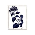 Picture of Blue Flower on White I _GroupedProduct_Rectangle_Portrait_Framed_Matted_