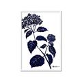 Picture of Blue Flower on White I _GroupedProduct_Rectangle_Portrait_Framed_Matted_