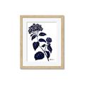 Picture of Blue Flower on White I _GroupedProduct_Rectangle_Portrait_Framed_Matted_