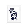 Picture of Blue Flower on White I _GroupedProduct_Rectangle_Portrait_Framed_Matted_