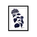 Picture of Blue Flower on White I _GroupedProduct_Rectangle_Portrait_Framed_Matted_