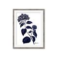 Picture of Blue Flower on White I _GroupedProduct_Rectangle_Portrait_Framed_Matted_