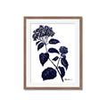 Picture of Blue Flower on White I _GroupedProduct_Rectangle_Portrait_Framed_Matted_