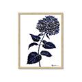 Picture of Blue Flower on White II  _GroupedProduct_Rectangle_Portrait_Framed_Matted_