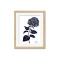 Picture of Blue Flower on White II  _GroupedProduct_Rectangle_Portrait_Framed_Matted_