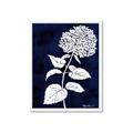 Picture of Flower on Blue I _GroupedProduct_Rectangle_Portrait_Framed_Matted_