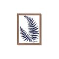 Picture of Fern on white  II _GroupedProduct_Rectangle_Portrait_Framed_Matted_