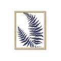 Picture of Fern on white  II _GroupedProduct_Rectangle_Portrait_Framed_Matted_