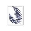 Picture of Fern on white  II _GroupedProduct_Rectangle_Portrait_Framed_Matted_