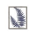 Picture of Fern on white  II _GroupedProduct_Rectangle_Portrait_Framed_Matted_