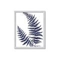 Picture of Fern on white  II _GroupedProduct_Rectangle_Portrait_Framed_Matted_