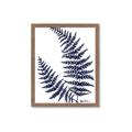 Picture of Fern on white  II _GroupedProduct_Rectangle_Portrait_Framed_Matted_