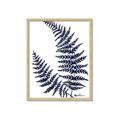 Picture of Fern on white  II _GroupedProduct_Rectangle_Portrait_Framed_Matted_