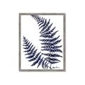 Picture of Fern on white  II _GroupedProduct_Rectangle_Portrait_Framed_Matted_