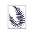 Picture of Fern on white  II _GroupedProduct_Rectangle_Portrait_Framed_Matted_