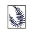 Picture of Fern on white  II _GroupedProduct_Rectangle_Portrait_Framed_Matted_